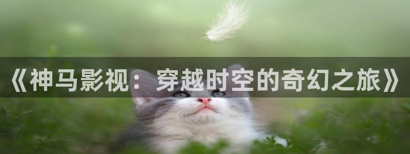 神马午夜影院我不卡