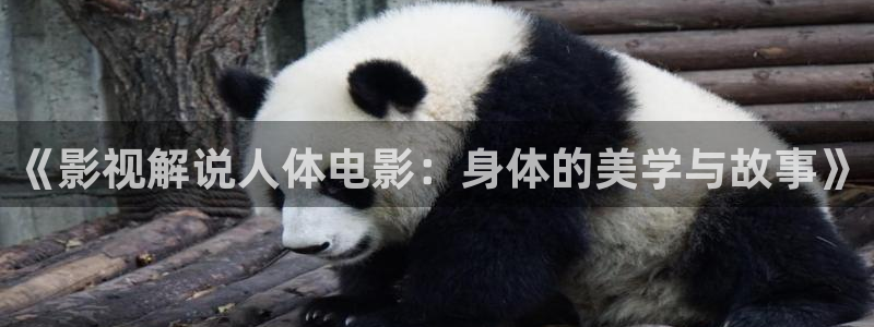 午夜电影在线播放