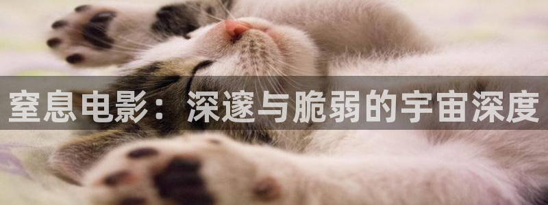 嫩草午夜影院免费久久