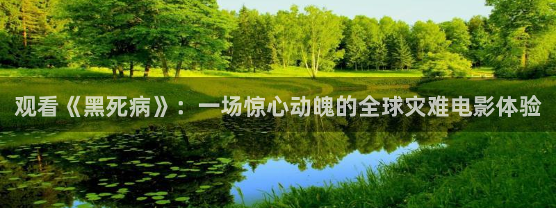 久久午夜精品视频