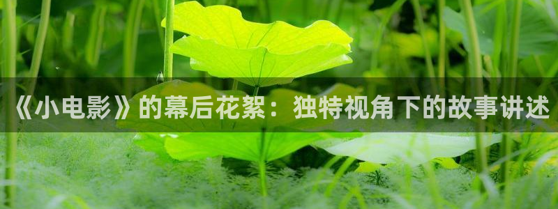 午夜神马伦理片