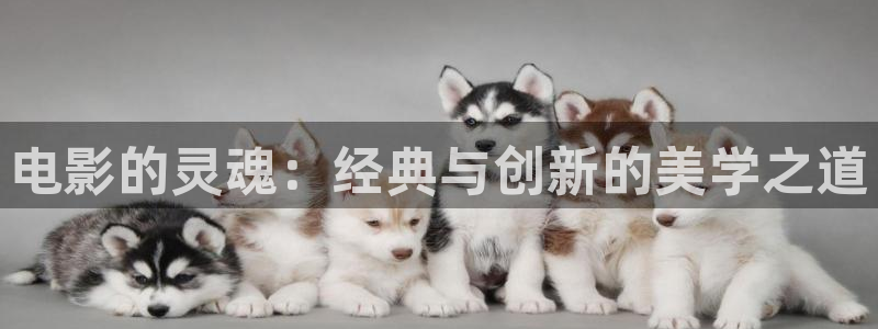 18成人午夜电影