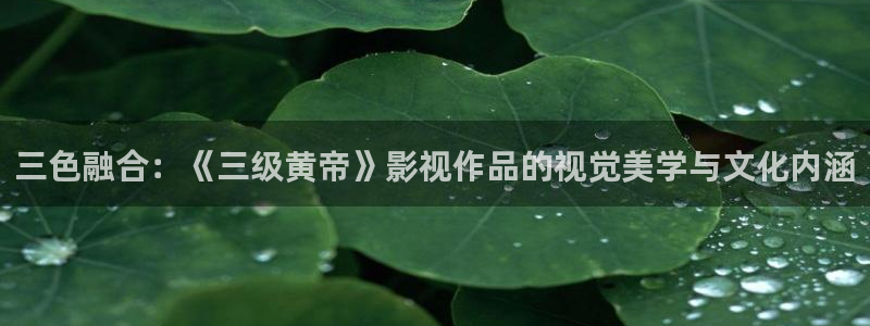 成人午夜看片