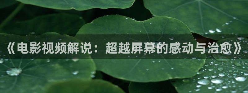 a午夜影视