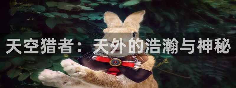 午夜夫妻电影