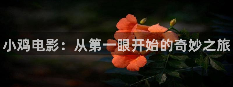 6080新觉伦午夜秋霞电影