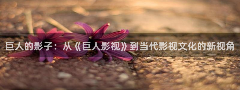 日本午夜电影大全