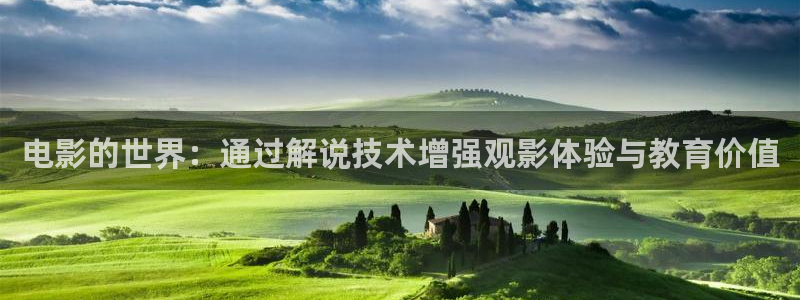 717午夜理论电影网