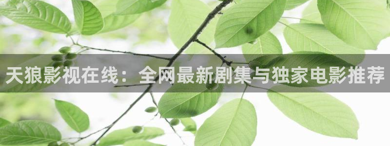 午夜电影剧院