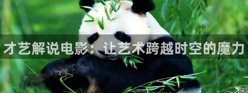 神马影院午夜伦理片