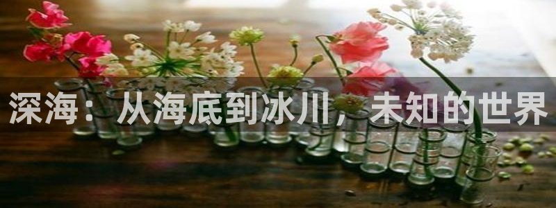 福利电影 午夜