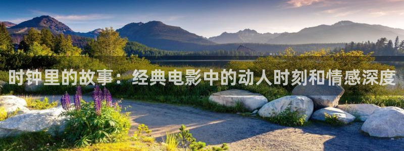 午夜桃花视频