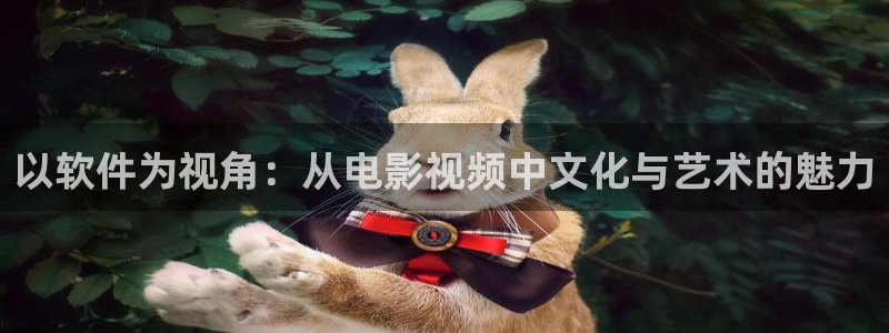 午夜毛片基地