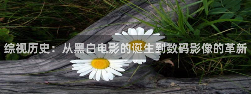 秋霞午夜私人影院：综视历史：从黑白电影的诞生到数码影像的革新