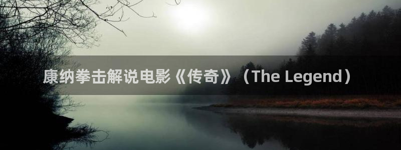 午夜电影色：康纳拳击解说电影《传奇》（The Legend）