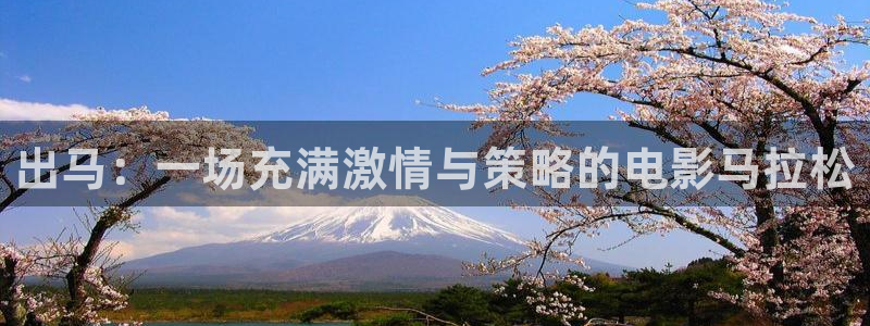 午夜小片午夜影院：出马：一场充满激情与策略的电影马拉松