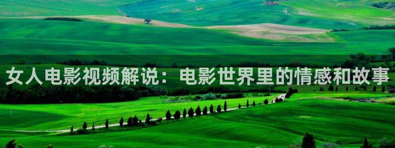 成人午夜电影高清：女人电影视频解说：电影世界里的情感和故事
