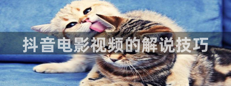 久久午夜影院免费：抖音电影视频的解说技巧