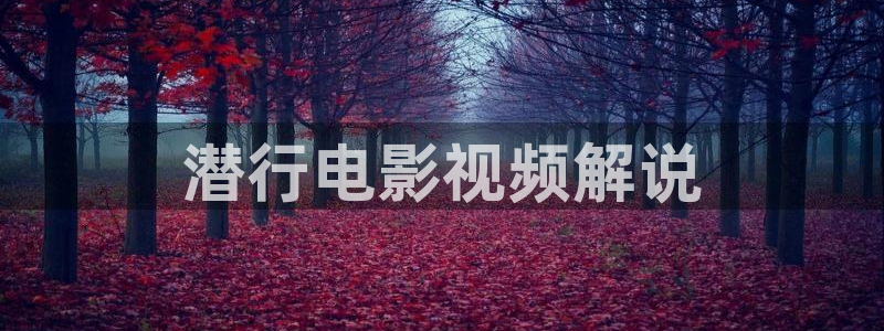 久播影院午夜：潜行电影视频解说