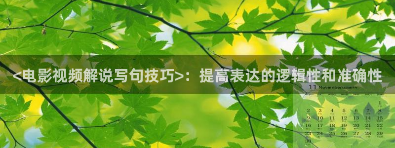 97国产午夜影院：<电影视频解说写句技巧>：提高表达的逻辑性和准确性