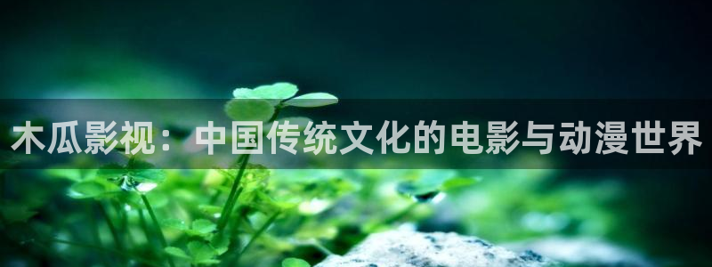 午夜美女毛片