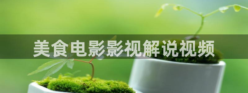 秋霞电影午夜鲁丝：美食电影影视解说视频