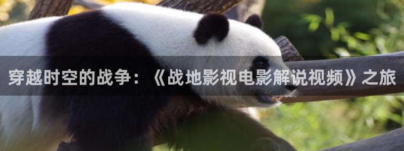 青青影院午夜：穿越时空的战争：《战地影视电影解说视频》之旅