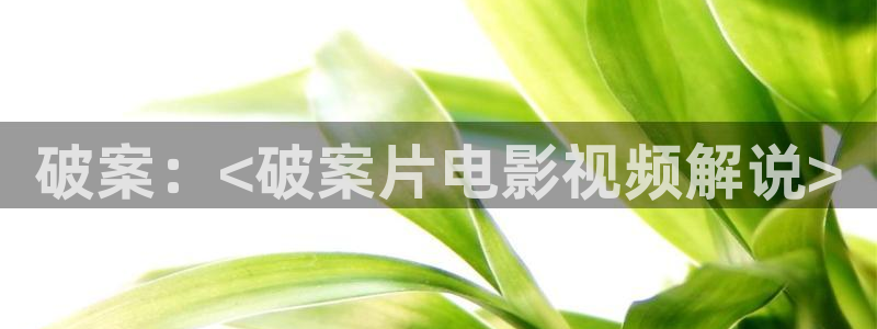 泡泡影视午夜：破案：<破案片电影视频解说>