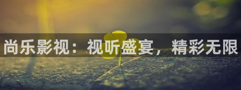 欧美午夜伦伦电影理论片：尚乐影视：视听盛宴，精彩无限