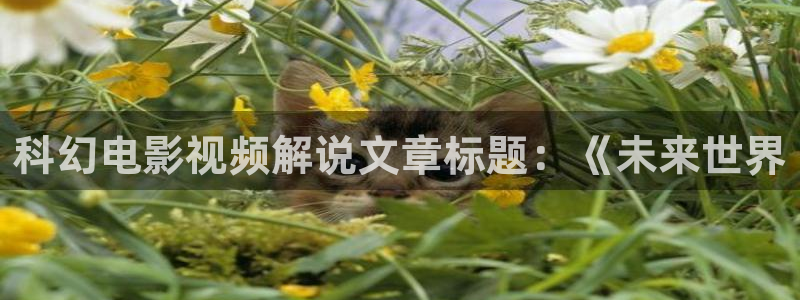 午夜 av 网：科幻电影视频解说文章标题：《未来世界