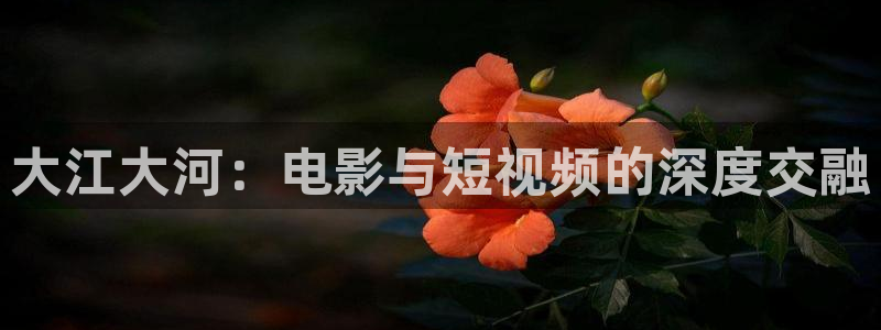 ,午夜性刺激免费看视频：大江大河：电影与短视频的深度交融