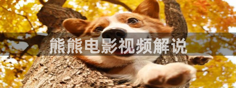 新视觉午夜影院：熊熊电影视频解说