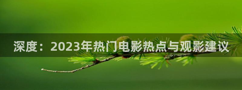 午夜动片：深度：2023年热门电影热点与观影建议