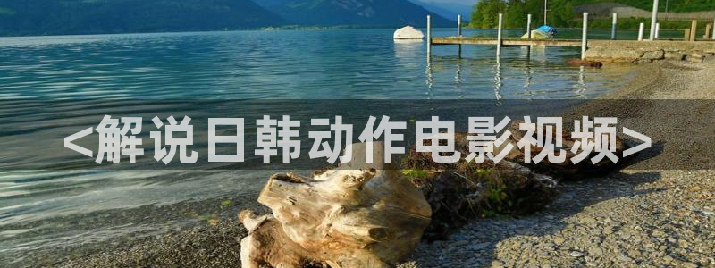 成人剧场午夜：<解说日韩动作电影视频>