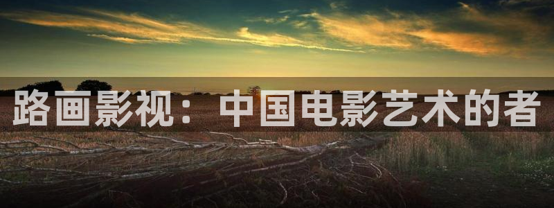 午夜电影我在线：路画影视：中国电影艺术的者