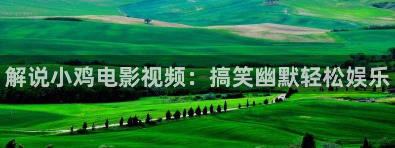 电影午夜免费：解说小鸡电影视频：搞笑幽默轻松娱乐