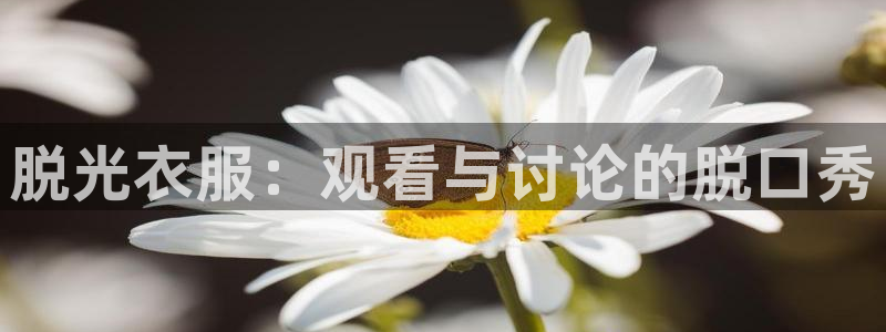 成人午夜理论在线观看：脱光衣服：观看与讨论的脱口秀