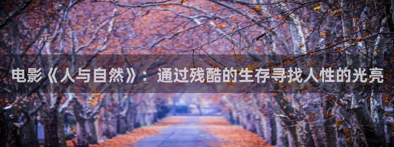 韩国午夜伦理片在线观看：电影《人与自然》：通过残酷的生存寻找人性的光亮