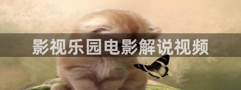 午夜高清影院 理论：影视乐园电影解说视频