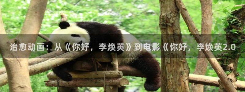 国产午夜在线免费：治愈动画：从《你好，李焕英》到电影《你好，李焕英2.0
