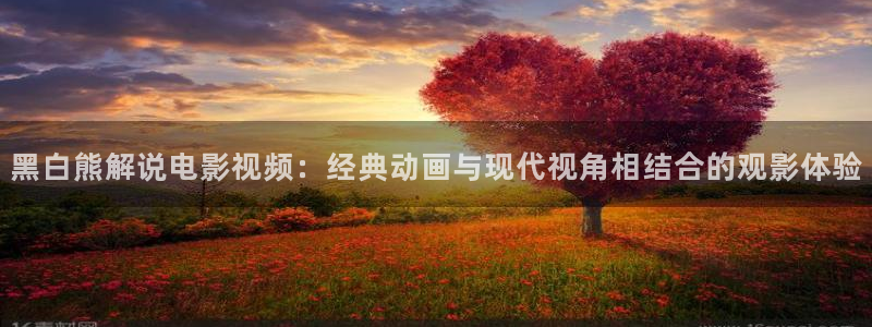 午夜小影院精品久久久：黑白熊解说电影视频：经典动画与现代视角相结合的观影体验