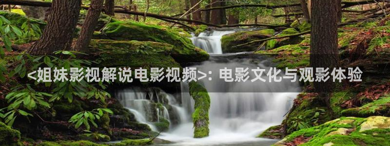 神马影院午夜激情场
