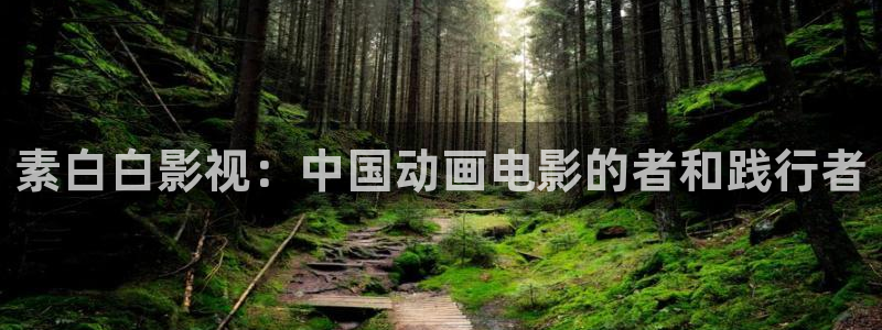 桥矿影院午夜看片：素白白影视：中国动画电影的者和践行者