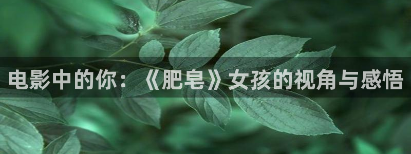 午夜免费成人大片：电影中的你：《肥皂》女孩的视角与感悟
