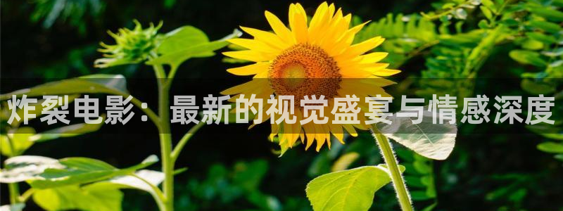苍苍午夜影视：炸裂电影：最新的视觉盛宴与情感深度