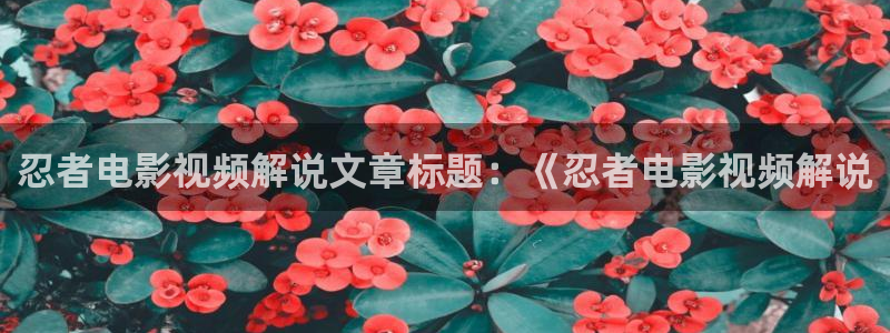 午夜大片在线免费看：忍者电影视频解说文章标题：《忍者电影视频解说