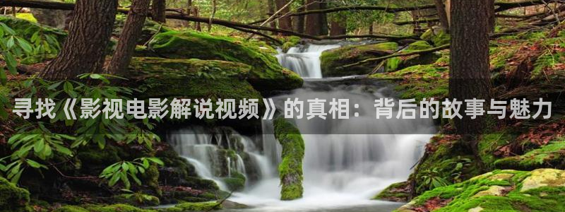 久久高清午夜：寻找《影视电影解说视频》的真相：背后的故事与魅力