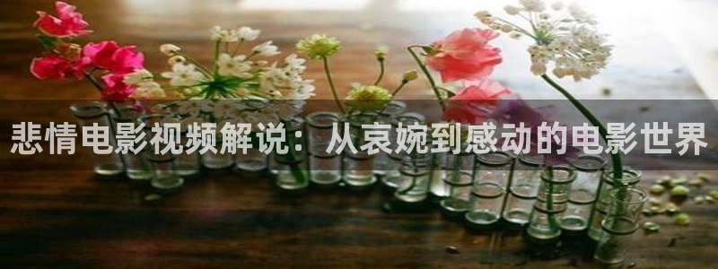 国精品午夜电影：悲情电影视频解说：从哀婉到感动的电影世界