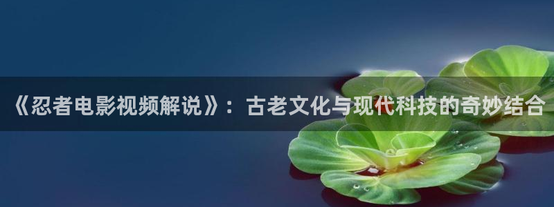 午夜网在线：《忍者电影视频解说》：古老文化与现代科技的奇妙结合