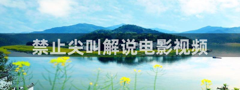 欧美视频午夜在线观看：禁止尖叫解说电影视频